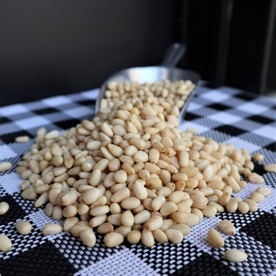 Κουκουνάρι