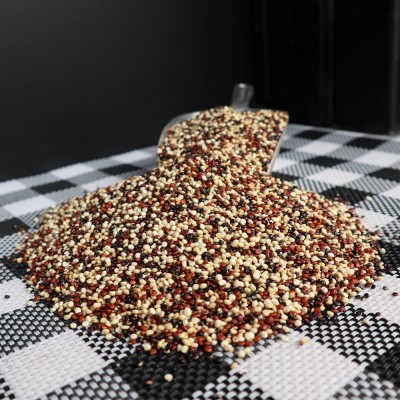 Κινόα πολύχρωμη